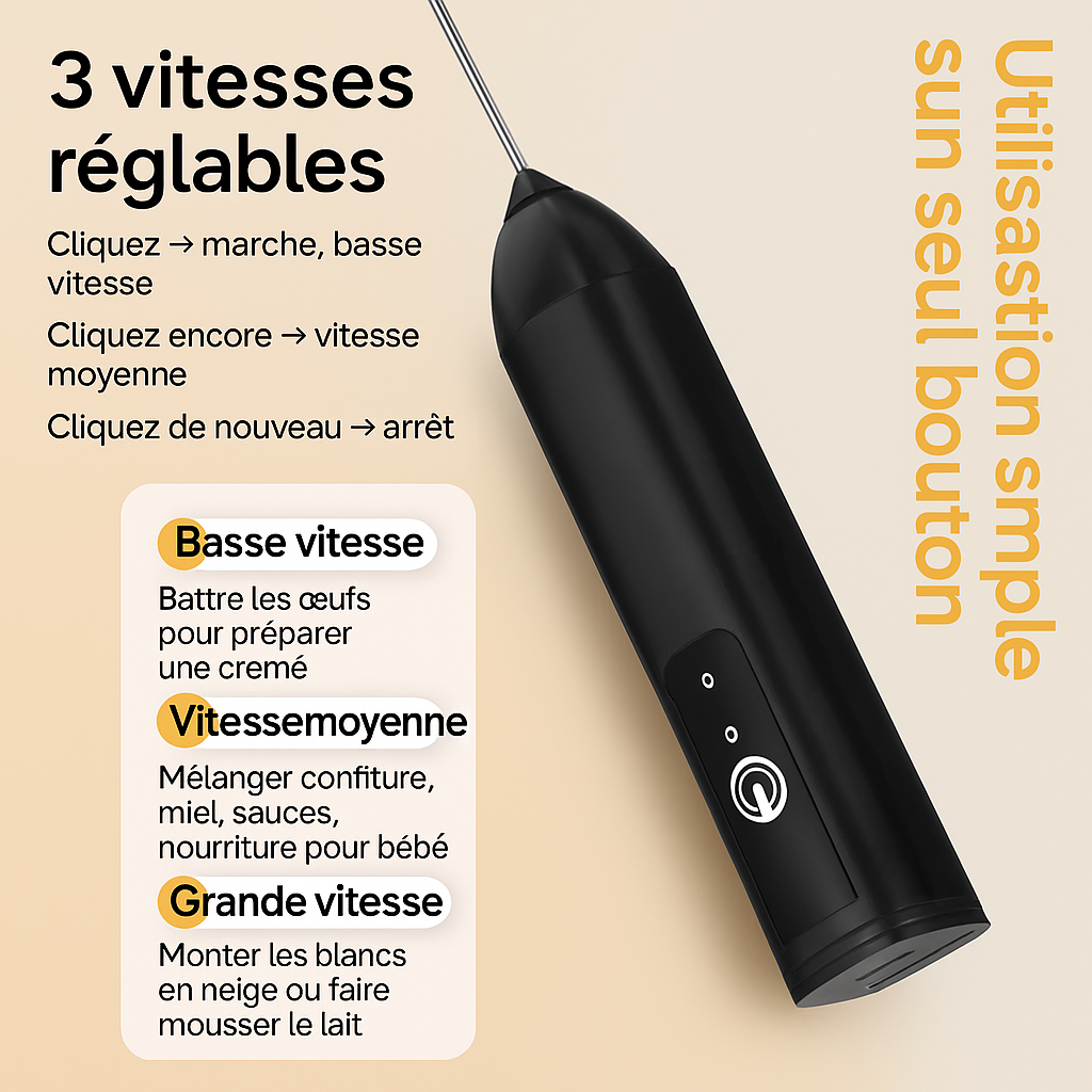 Mousseur a lait vitesse